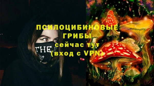 ПСИЛОЦИБИНОВЫЕ ГРИБЫ Алзамай