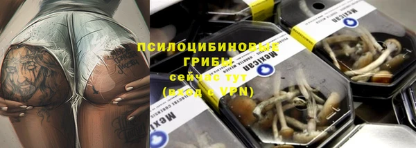 спиды Алексеевка