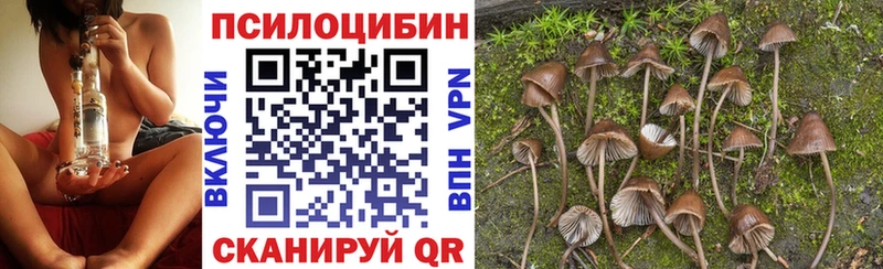 Галлюциногенные грибы мухоморы Шатура