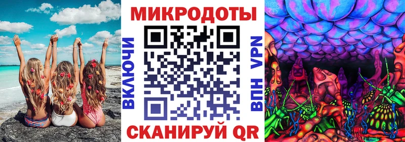 Галлюциногенные грибы Psilocybe  Шатура 